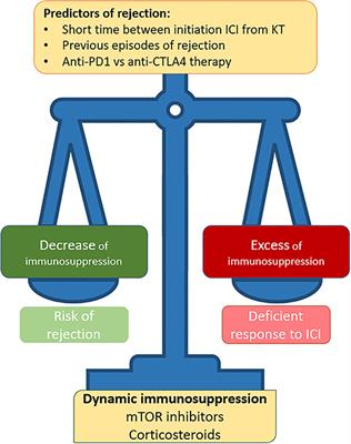 Immunotherapy and the Spectrum of Kidney Disease: Should We Individualize the Treatment?